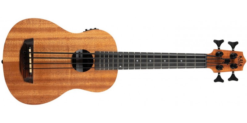 Acoustic bass shop ukulele