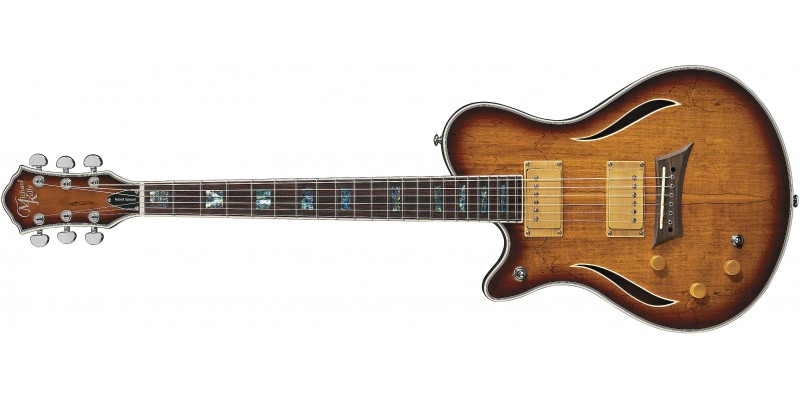 Michael Kelly Hybrid Special Left Handed Spalted Burst