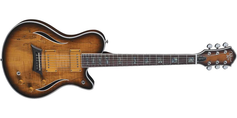 Michael Kelly Hybrid Special Spalted