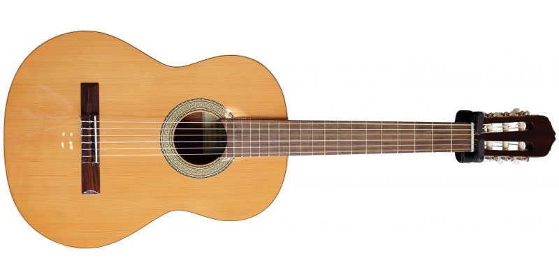 P Caballero C 2 Classical Guitar With Case Guitar