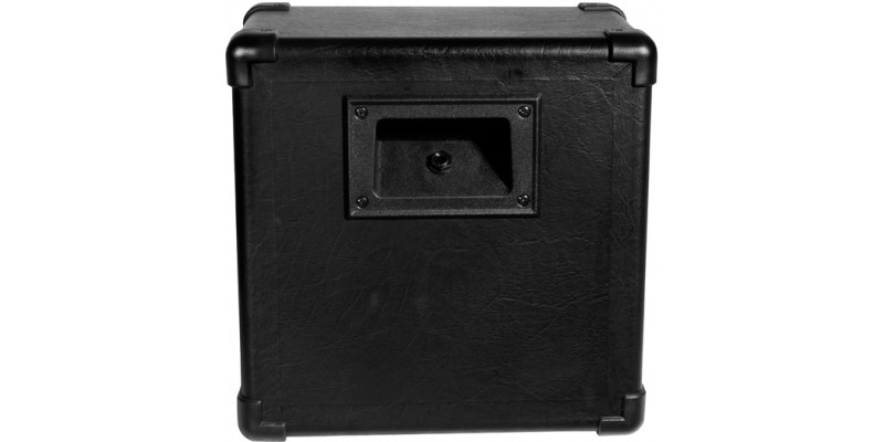 Randall store rg8 cabinet
