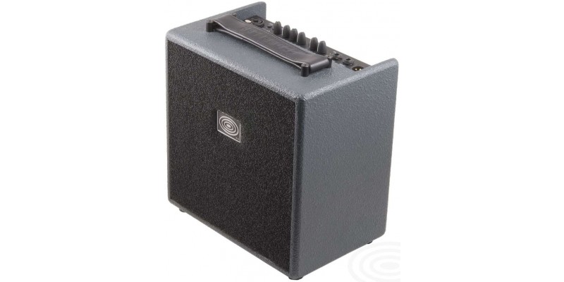 Schertler Giulia Grey Acoustic Guitar Amp Angle