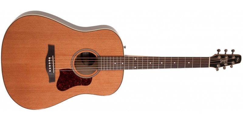 Seagull Coastline Momentum A/E HG Electro Acoustic Guitar