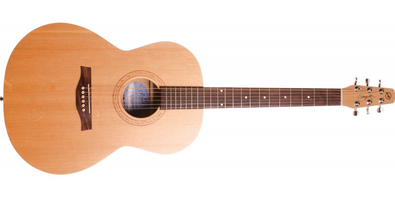 Seagull Excursion Nat Folk Solid Spruce SG Isys T
