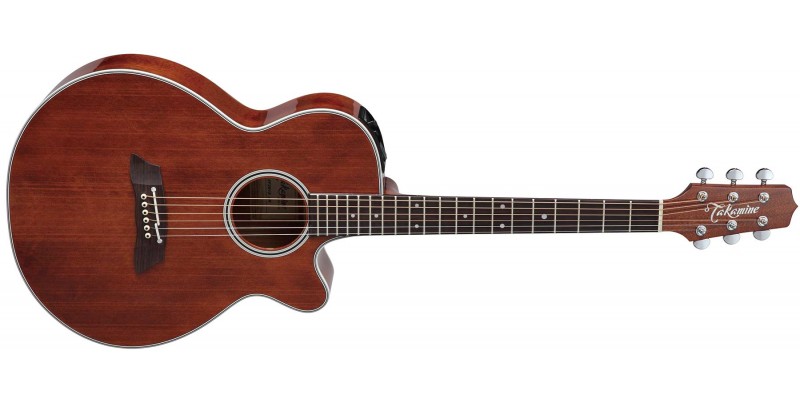 Takamine semi acoustic guitar deals