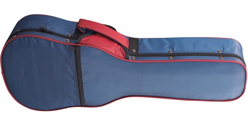 Tenor best sale uke case