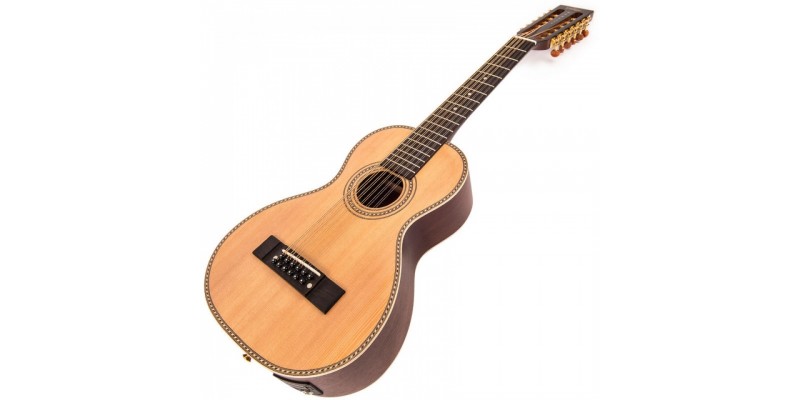 Paul brett 12 string on sale