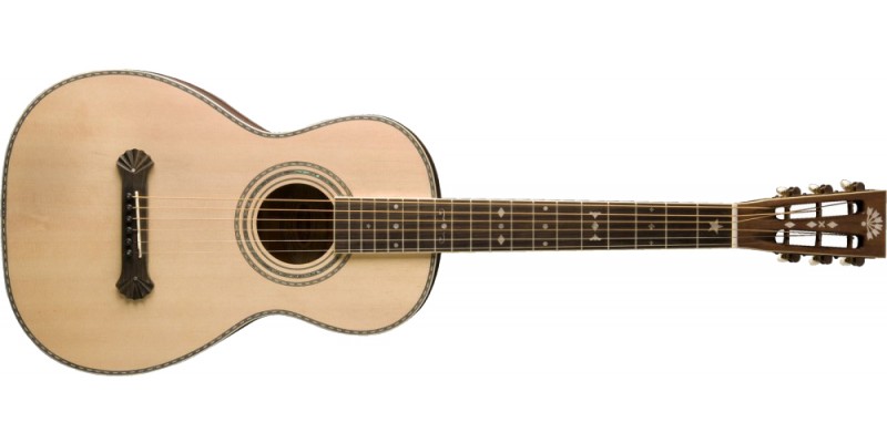 Washburn wp26sns outlet