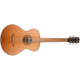 Breedlove Discovery S Concert Nylon CE Red Cedar Front