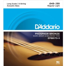 D'Addario EPBB170-5 Phosphor Bronze 5-String Acoustic Bass, Long Scale, 45-130