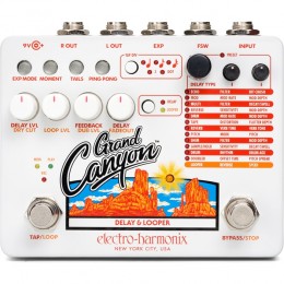 EHX Grand Canyon Delay and Looper Pedal