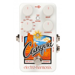 Electro Harmonix Canyon Delay Looper Pedal