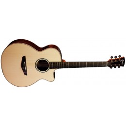 Faith FVHG3 Venus HiGloss Concert Cutaway Electro Acoustic Guitar Front