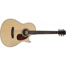 Larrivee C-03R TE Tommy Emmanuel front