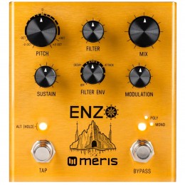 Meris Enzo Multi-Voice Synthesizer Pedal Front