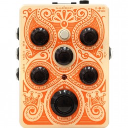 Orange Acoustic Pedal 1