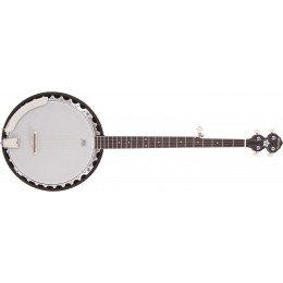 Pilgrim Progress VPB30G 5-String G Banjo Front