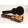 Freshman AB3 Spring Electro Acoustic Guitar Hard Case