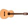 Freshman AB3 Winter Electro Acoustic Guitar