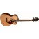 Freshman Apollo 4OC Electro-Acoustic Guitar