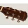 Freshman FA1AN Headstock