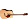Freshman FA400D Dreadnought Acoustic Guitar