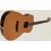 Freshman FA500GACED Electro Acoustic Guitar Angle