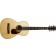 Larrivee-P-03-Recording-Series-Parlour-Guitar-Front