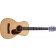 _Larrivee-P-03W-American-Walnut-Parlour-Guitar-Front