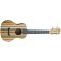 Adam Black ABUKT130 Tenor Ukulele Rainbow Front