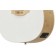 Applause Jump Electro Acoustic Guitar Blank Canvas White