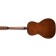 Art & Lutherie Roadhouse Bourbon Burst Back