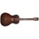 Art & Lutherie Roadhouse Bourbon Burst Nylon Pre-Owned Front