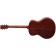 Auden Austin Spruce Bubinga Fullbody Mini Jumbo Acoustic Back