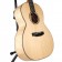 Auden Chester Maple Fullbody