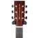 Auden Chester Maple Fullbody