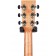 Auden Chester Maple Fullbody