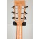 Auden Emily Rose Maple Fullbody Headstock Back