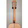 Auden Emily Rose Maple Fullbody Neck