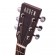 Auden Neo Bowman OM Headstock