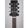 Auden Neo Bowman with SuperNatural AS Headstock