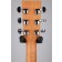 Auden Neo Bowman with SuperNatural AS Headstock Back