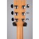 Auden Neo Chester with SuperNatural AS Headstock Back