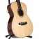 Auden Rosewood Series Bowman Spruce DS