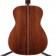 Auden Rosewood Series Bowman Spruce DS