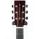 Auden Rosewood Series Bowman Spruce DS