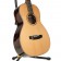 Auden Rosewood Series Emily Rose Cedar Full Body Body Angle