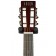 Auden Rosewood Series Emily Rose Cedar Full Body Headstock