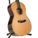 Auden Rosewood Series Julia Cedar Full Body Body Angle