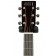 Auden Rosewood Series Julia Cedar Full Body Headstock